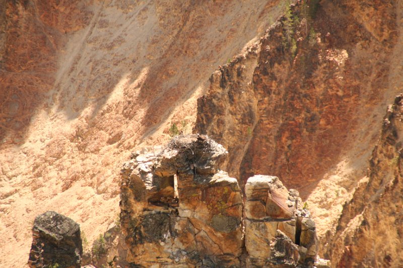 Trip (142).JPG - A bald eagle makes it nest high on a craggy outcropping in the falls basin